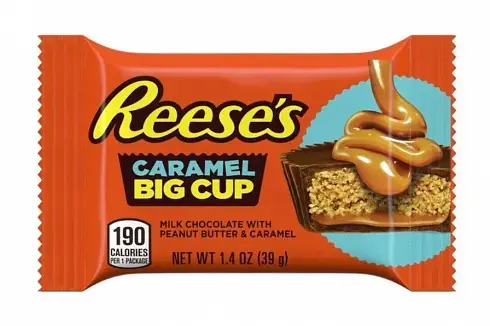 Reese's Peanut Butter Big Cup Caramel 39g